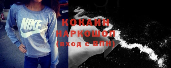 хмурый Арсеньев