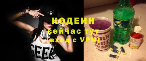хмурый Арсеньев