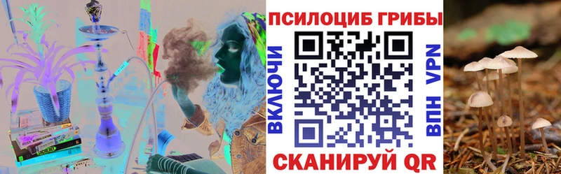 Псилоцибиновые грибы GOLDEN TEACHER  цена наркотик  Чудово 