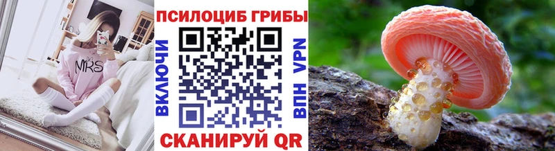 Галлюциногенные грибы ЛСД Чудово