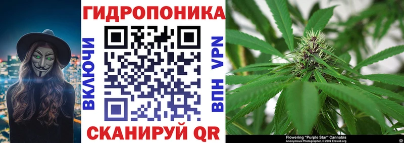 Бошки марихуана планчик  купить  цена  Чудово 